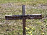 image of grave number 850384